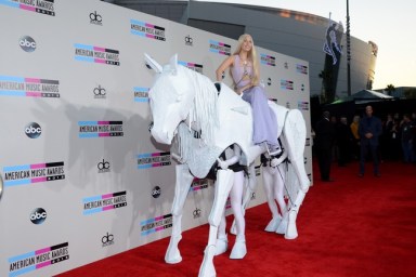 Lady Gaga Horse American Music Awards