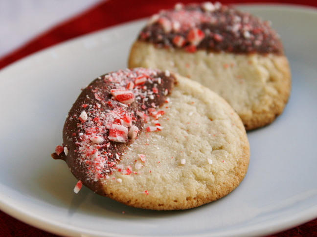 Chocolate Peppermint Sugar Cookies Recipe