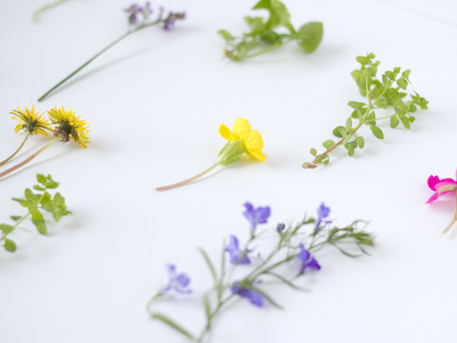 wildflowers