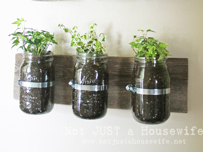 DIY Hanging Herb Garden