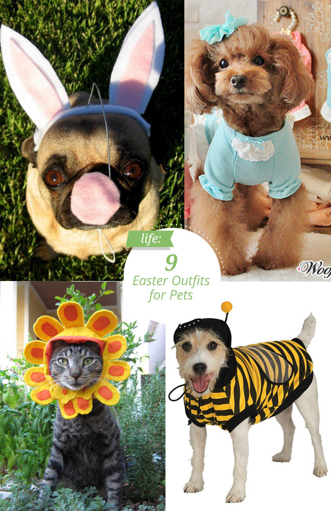 easter-costumes-for-pets