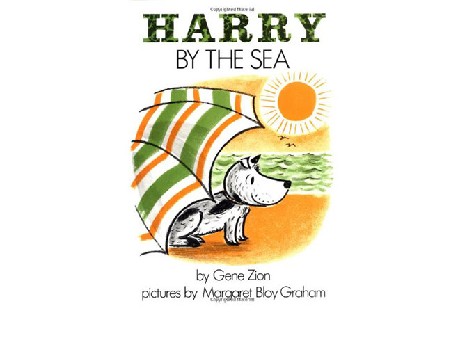 harry-by-the-sea