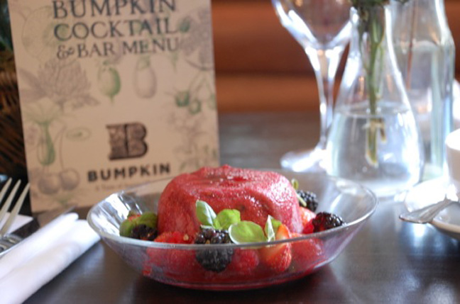 bumpkin-summer-pudding-recipe-12