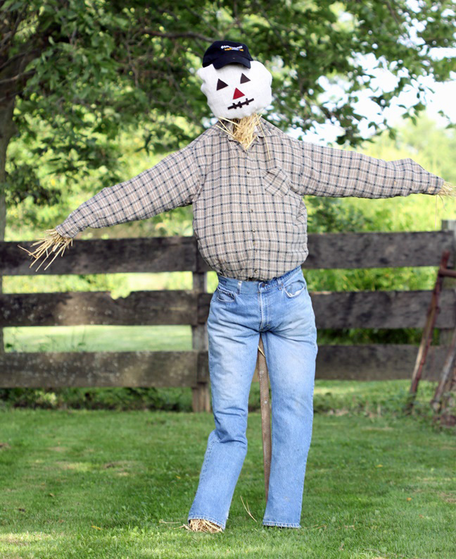 a completed diy scarecrow