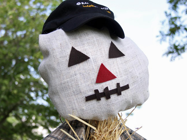 closeup of scarecrow's face