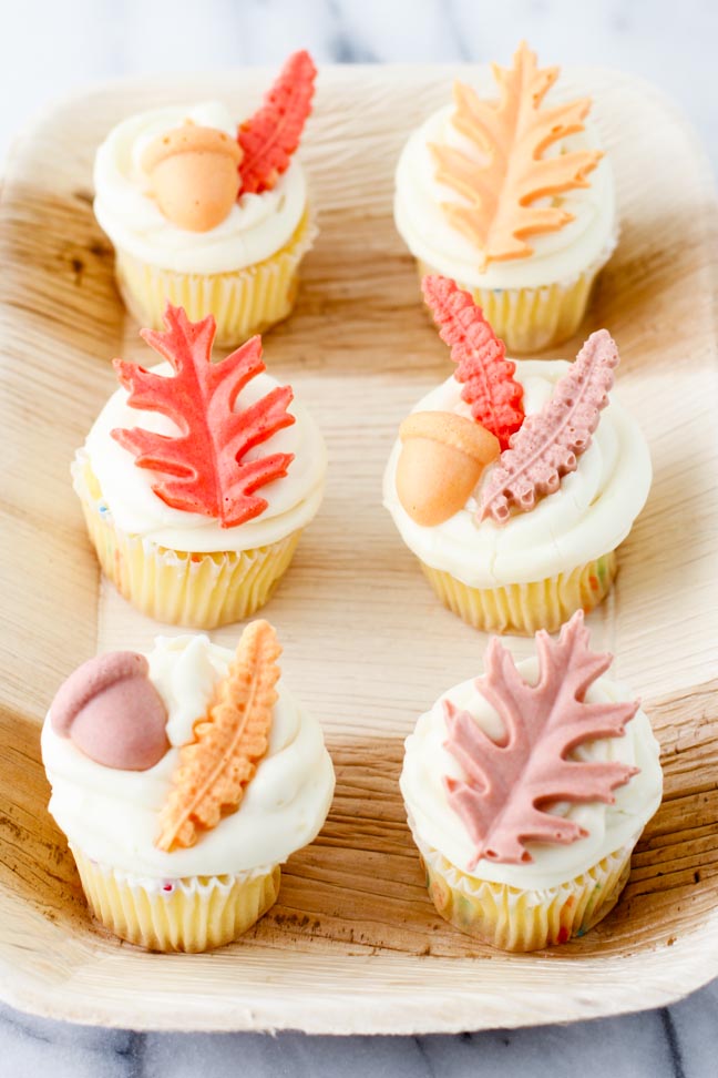 Closeup detail shot of chocolate fall leaf toppers