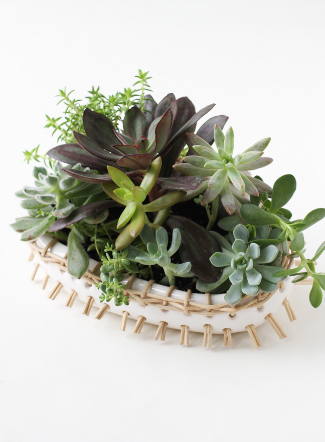 gift-idea-for-someone-with-a-green-thumb-3