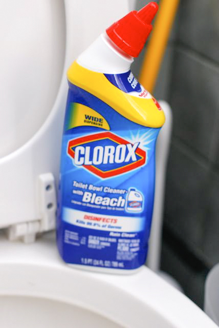 Clorox-3