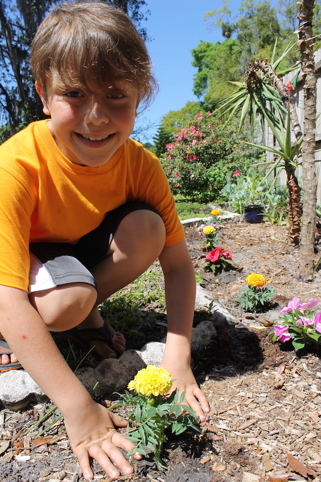 boy planting flowers