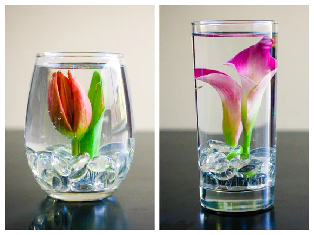 submerged spring flowers