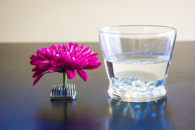 flower glass vase water