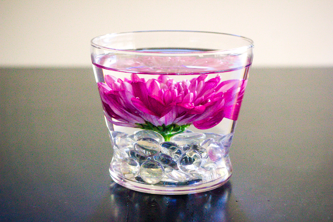 submerged purple flower