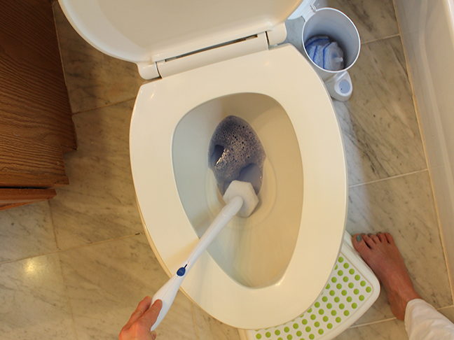Potty Training and the Clorox ToiletWand