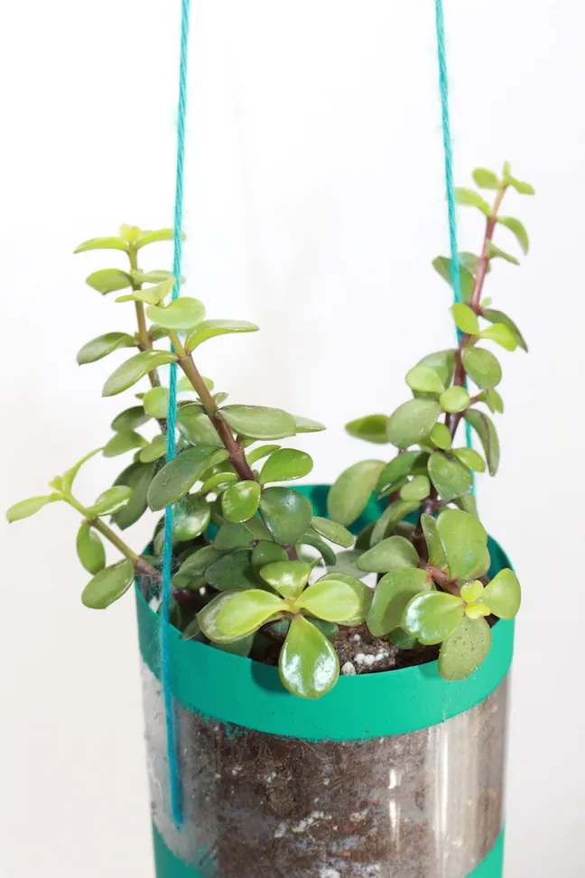 DIY Hanging Recycled Water Bottle Planter Project â momtastic.com