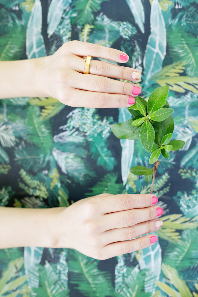 two-tone-mani-two-hands-holding-leaves