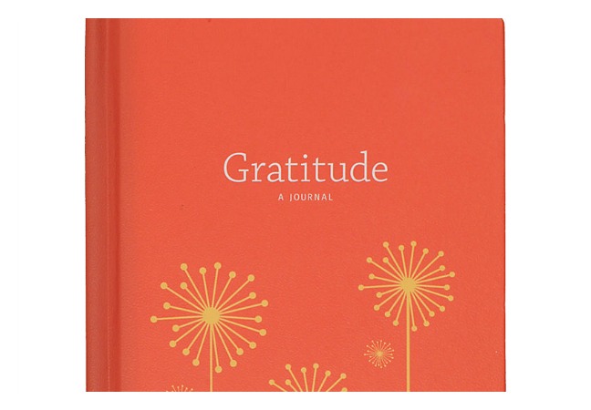 Gratitude A Journal 1