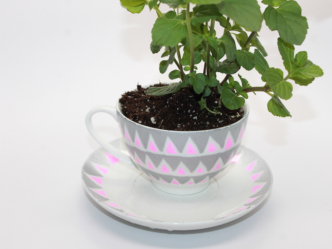 Design Your Own DIY Motherâs Day Teacup Garden