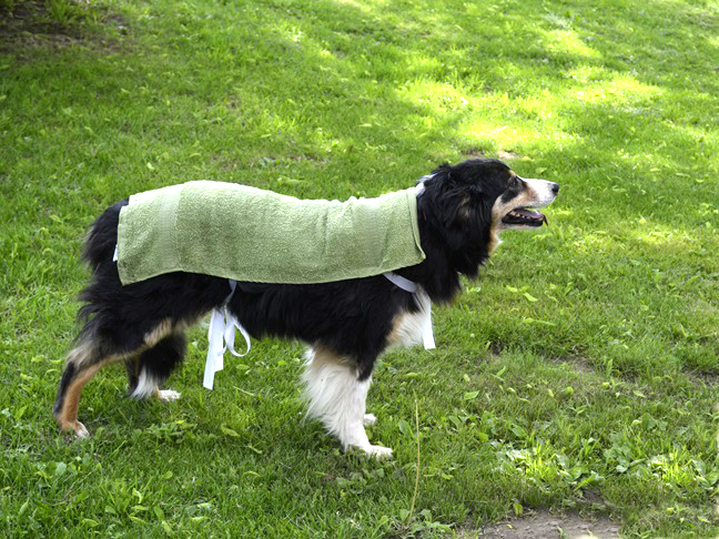 dog cooler towel final 1