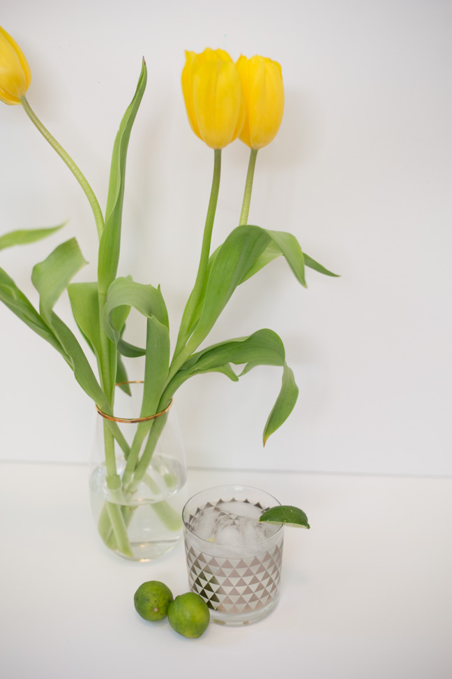 gin-lime-infused-tulip