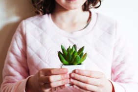how to plant succulents with kids