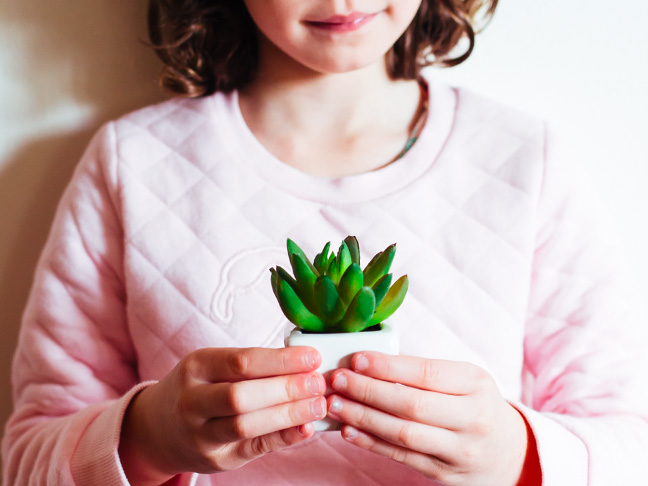 how to plant succulents with kids