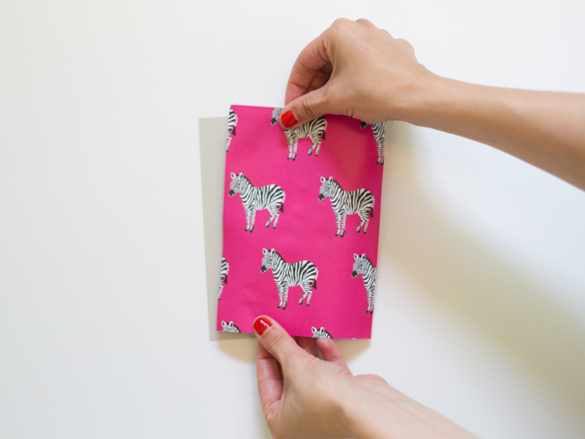 pink-zebra-paper-two-hands