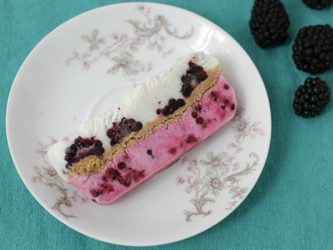 frozen yogurt cake