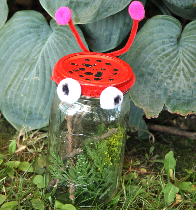 DIY Kids Bug Catcher