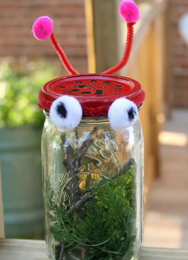 DIY Kids Bug Catcher