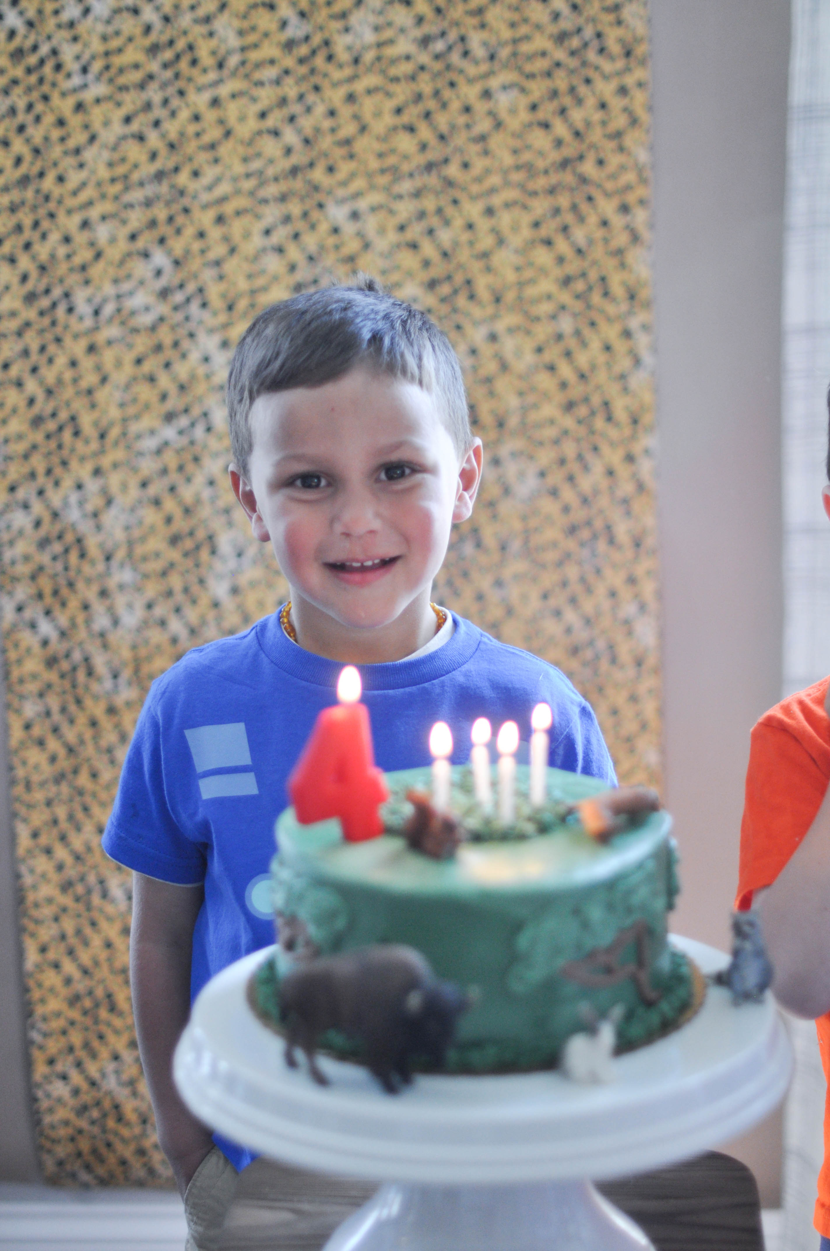 A Wild Kratts fourth birthday celebration plus a budget friendly backdrop