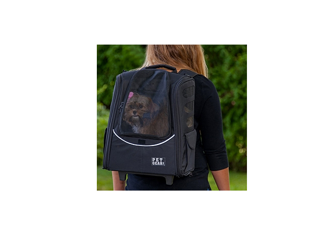 all_in_one_dog_carrier_for_travel