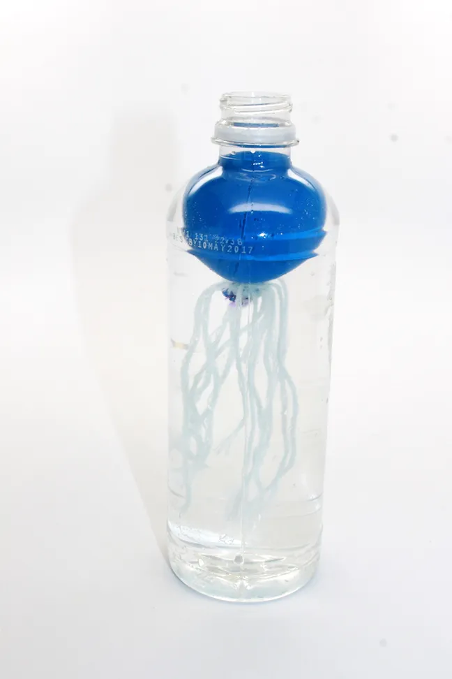ballon in water bottle