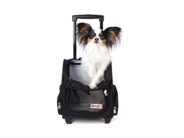 best_dog_carrier_6