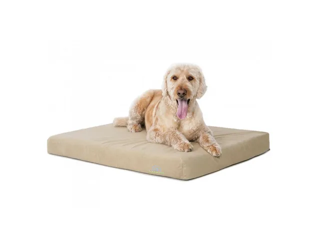 memory_foam_bed_for_dogs