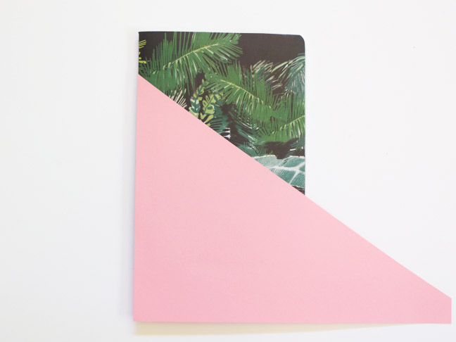 notebook-palm-paper-pink-paper