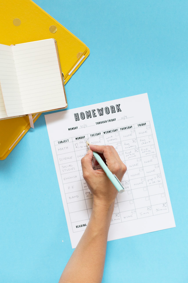 hand-pen-homework-chart-binder