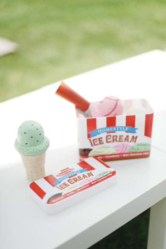 ice-cream-party-theme-accessories