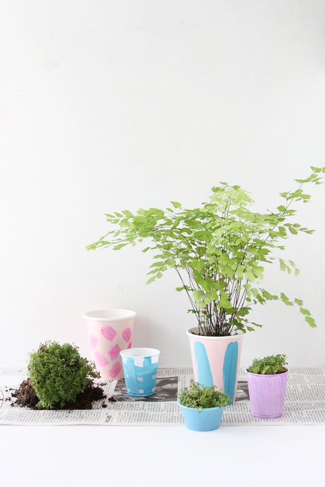 Easy DIY Starter Pots for Plants