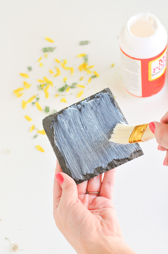painting a coaster with mod podge to prepare it for foraged leaves