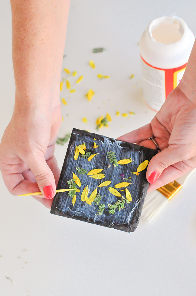placing foraged leaves and petals in glue on coasters