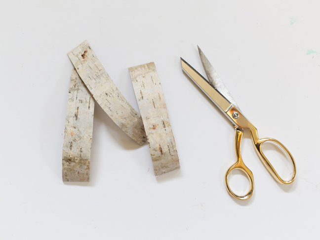 birch-bark-cut-strips