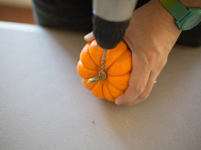 drilling-into-pumpkin-stem