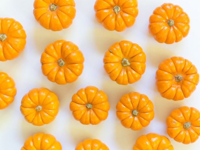 orange-mini-pumpkins