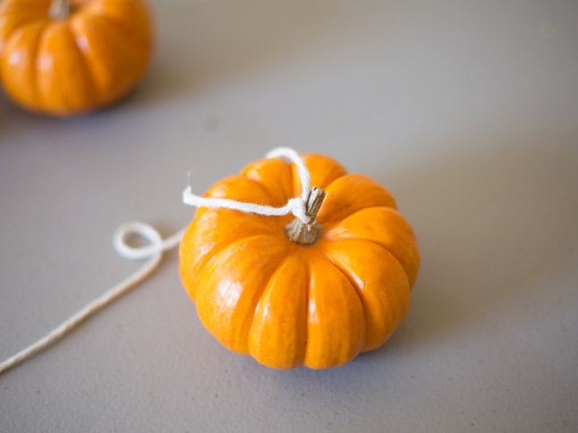 pumpkin-with-string-through-stem
