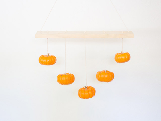 pumpkins-measured-at-different-lengths