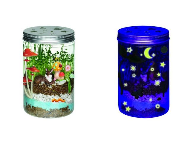 Plant Terrarium Kit