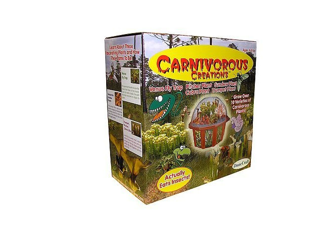 Carnivorous Creations Plant Terrarium