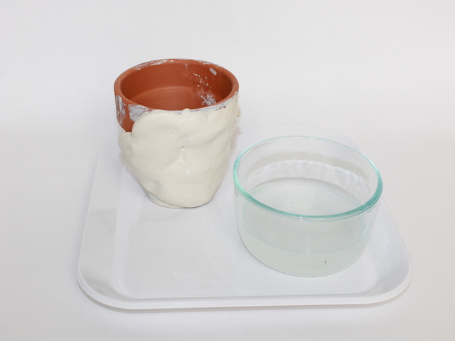 glass bowl terracotta pot