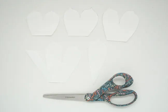 coffee filters scissors