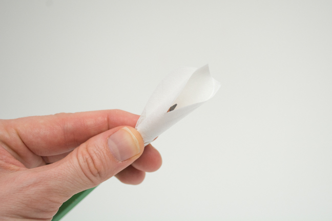 green pencil white paper flower